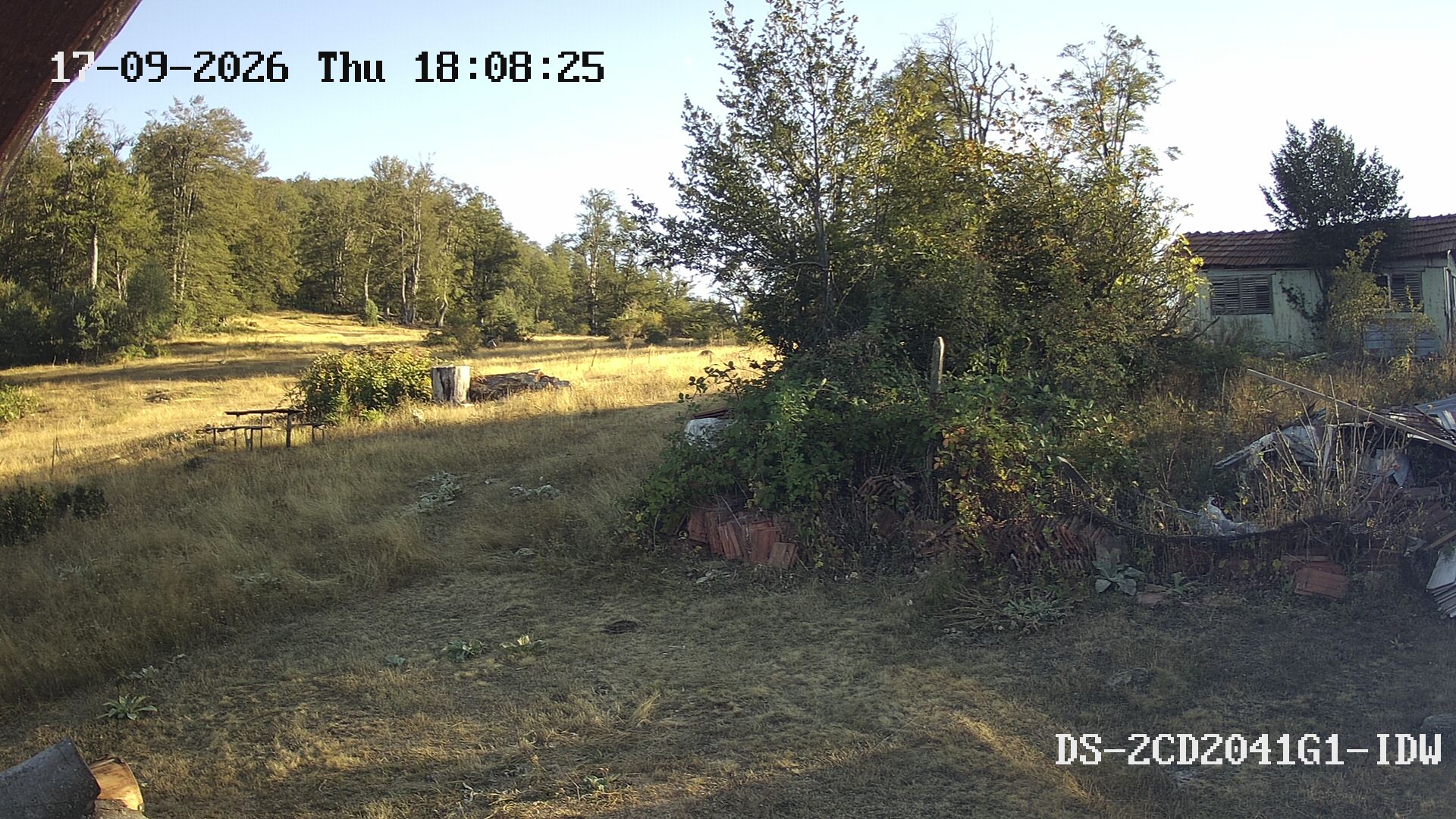 Latest Image