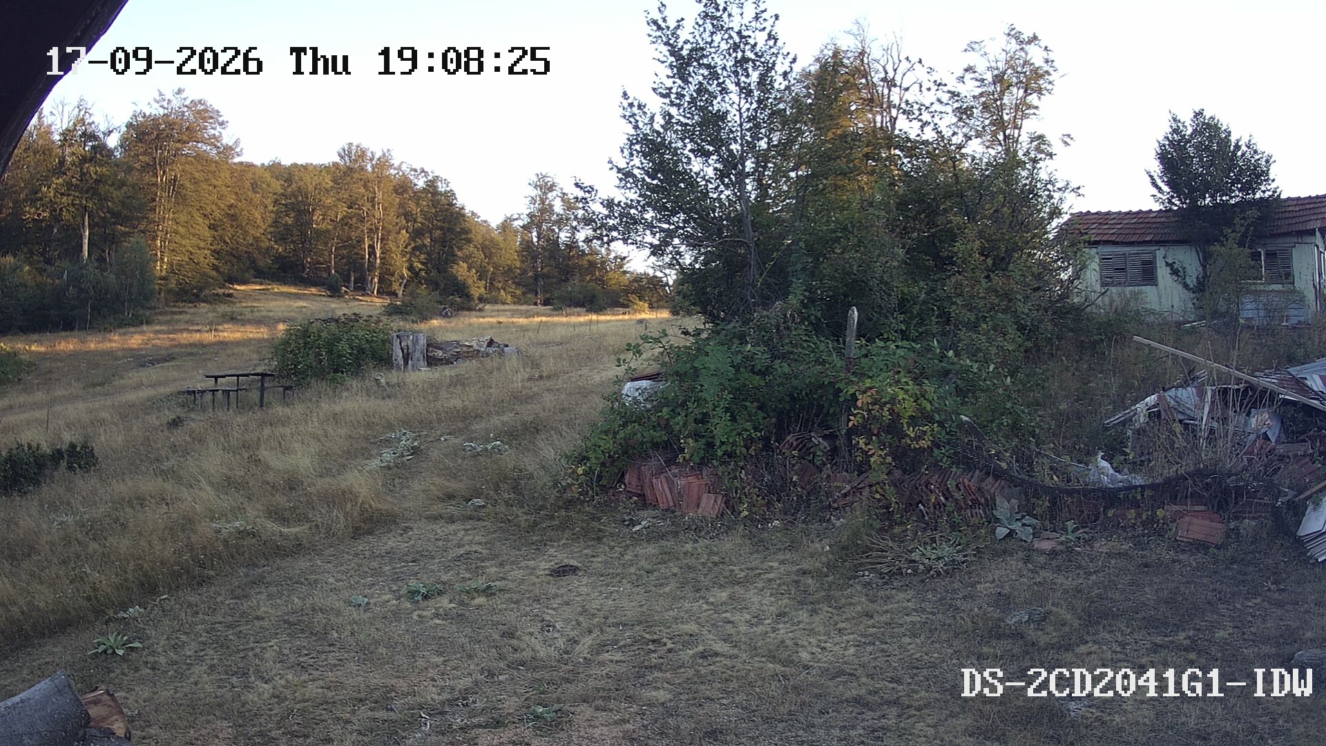 Latest Image